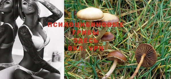 MDMA Premium VHQ Кулебаки